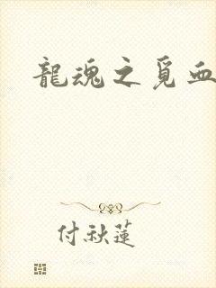 龙魂之觅血心缘