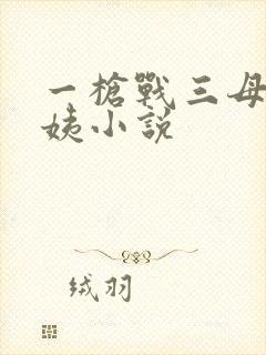 一枪战三母2雪姨小说
