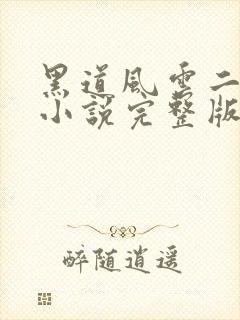 黑道风云二十年小说完整版