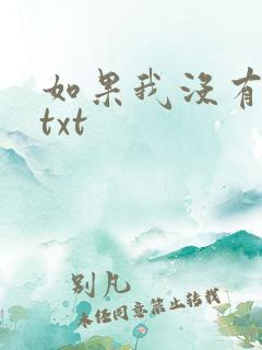 如果我没有爱过txt