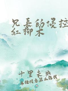 兄长的侵控by红柳木