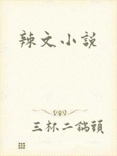 辣文小说