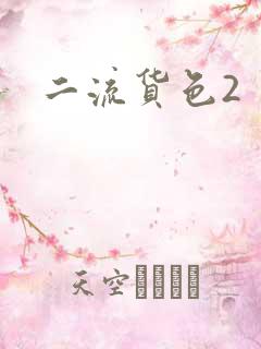 二流货色2