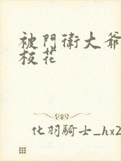 被门卫大爷揉的校花