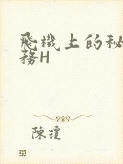 飞机上的秘密服务H