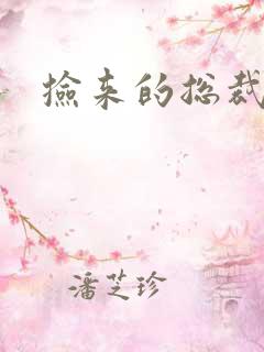 捡来的总裁儿子