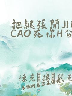 把腿张开JI巴CAO死你H公园