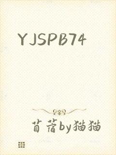 YJSPB74
