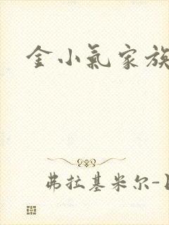 金小气家族小说