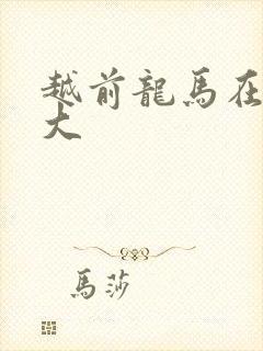 越前龙马在立海大