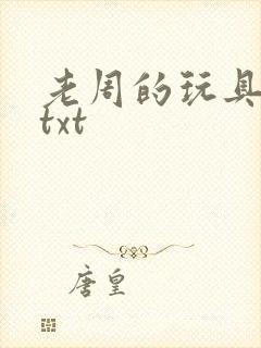 老周的玩具日记txt