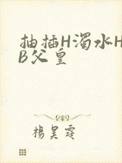 抽插H浊水H嫩B父皇
