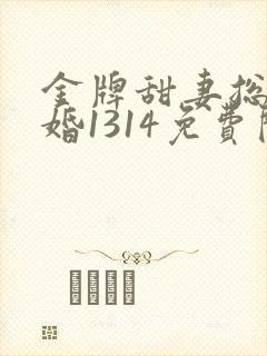 金牌甜妻总裁宠婚1314免费阅读