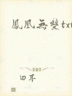 凤凰无双txt