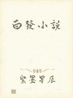 白发小说