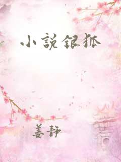 小说银狐