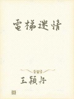电梯迷情
