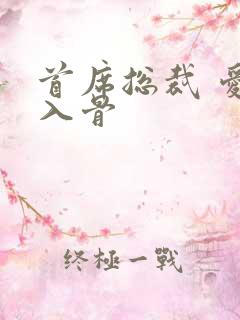 首席总裁 爱你入骨