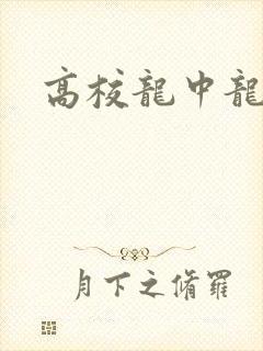 高校龙中龙全集