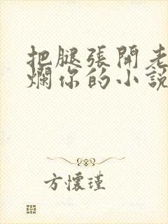 把腿张开老子臊烂你的小说