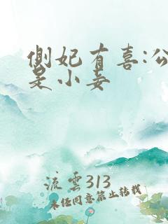 侧妃有喜:公主是小妾