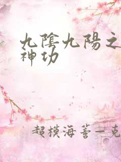 九阴九阳之阴阳神功