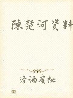 陈楚河资料