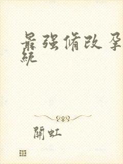 最强修改孕妇系统