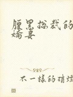 腹黑总裁的双面娇妻