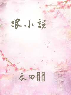 眼小说