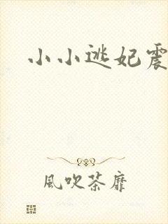 小小逃妃震江山