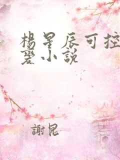 杨星辰可控核聚变小说