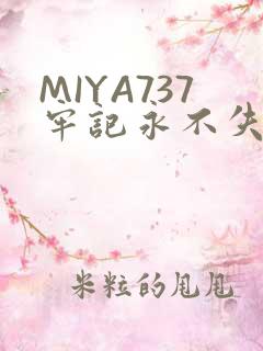 MIYA737牢记永不失联