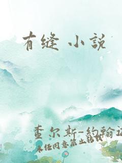 有缝 小说