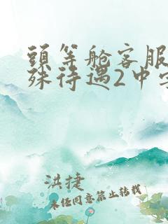 头等舱客服的特殊待遇2中字