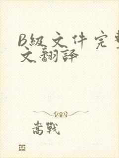 B级文件完整中文翻译