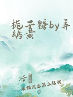 栀子糖by弄白鹅黄