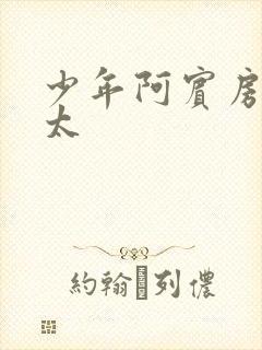 少年阿宾房东太太