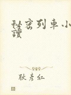 秘密列车小说阅读