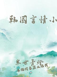 韩国言情小说