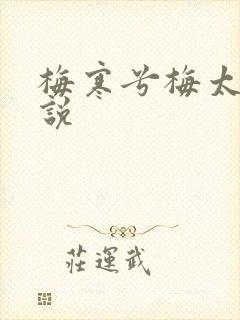 梅寒兮梅太颜小说