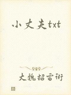 小丈夫txt
