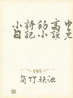 小诗的高中成长日记小说免费阅读