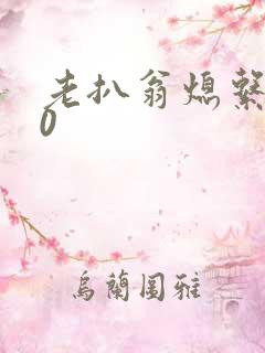 老扒翁熄系列40