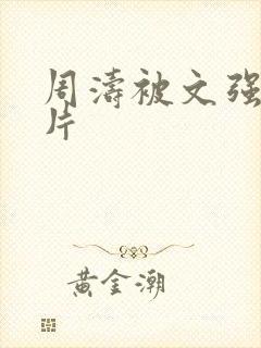 周涛被文强睡图片