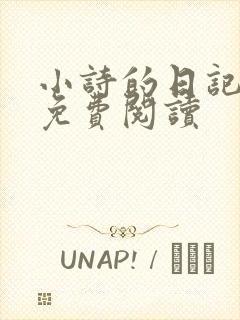 小诗的日记全文免费阅读