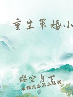 重生军婚小媳妇