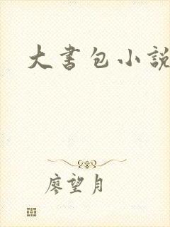 大书包小说