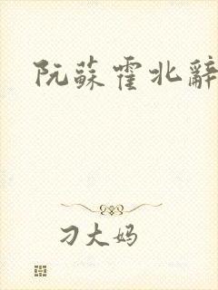 阮苏霍北辞小说