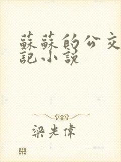 苏苏的公交车日记小说